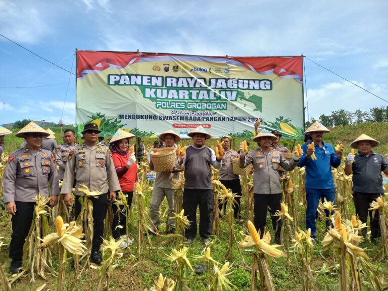 WhatsApp Image 2025-11-07 at 16.39.57