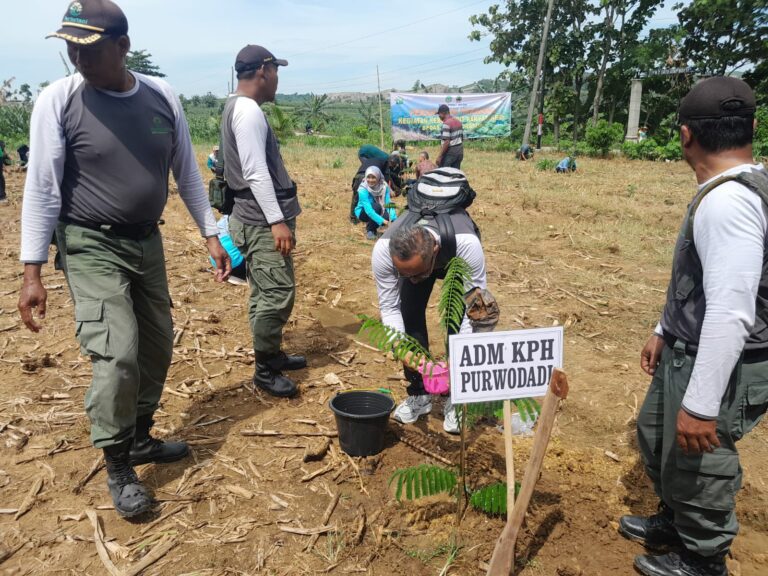 WhatsApp Image 2025-11-08 at 06.34.49_050a3000