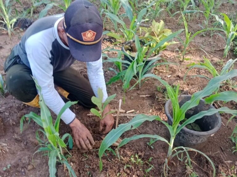 WhatsApp Image 2025-11-09 at 11.21.22