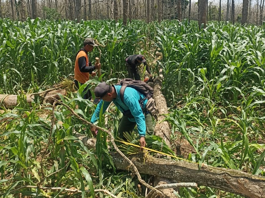 WhatsApp Image 2025-11-10 at 11.29.22