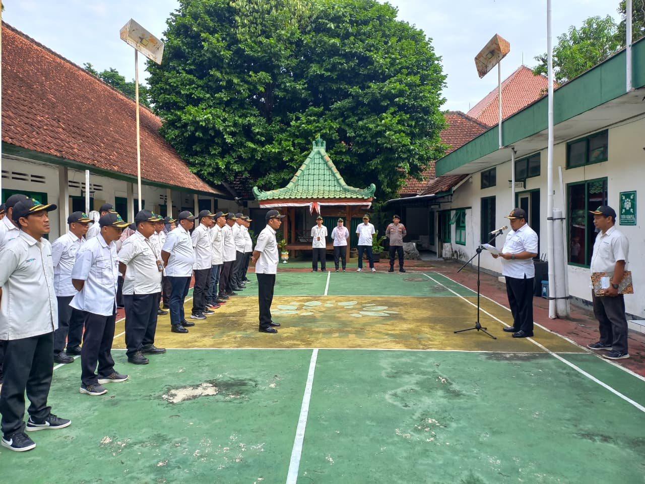 WhatsApp Image 2025-11-10 at 16.06.18