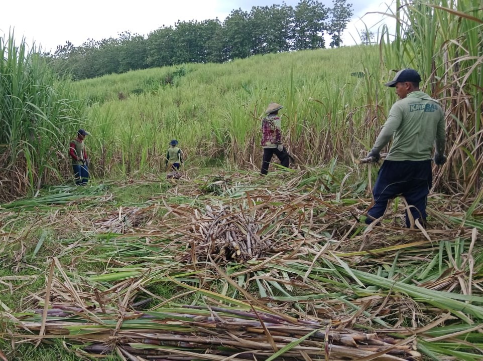 WhatsApp Image 2025-11-10 at 20.02.43