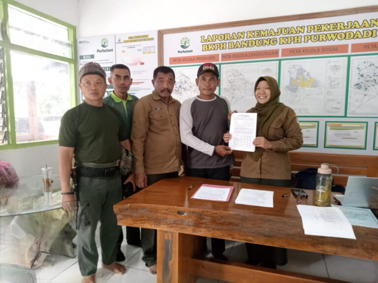 WhatsApp Image 2025-11-11 at 12.47.01(1)