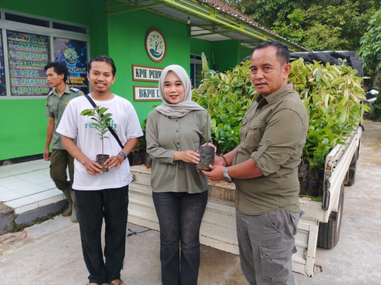 WhatsApp Image 2025-11-11 at 16.13.22