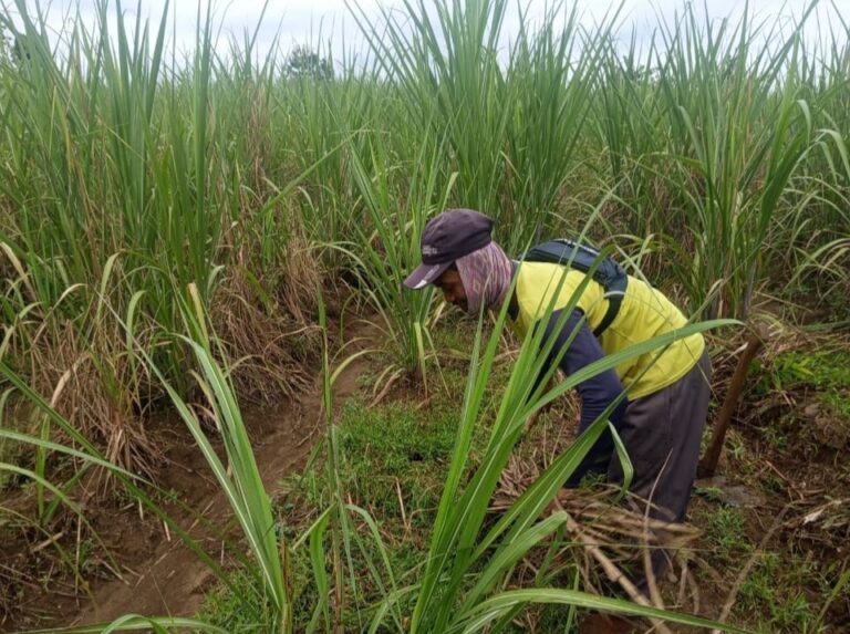 WhatsApp Image 2025-11-11 at 19.44.21