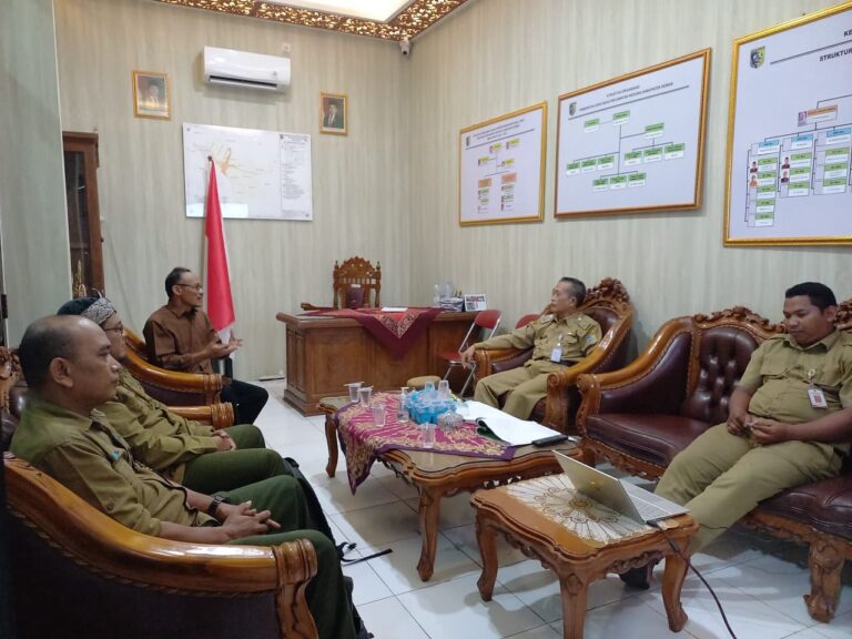 WhatsApp Image 2025-11-11 at 21.06.18