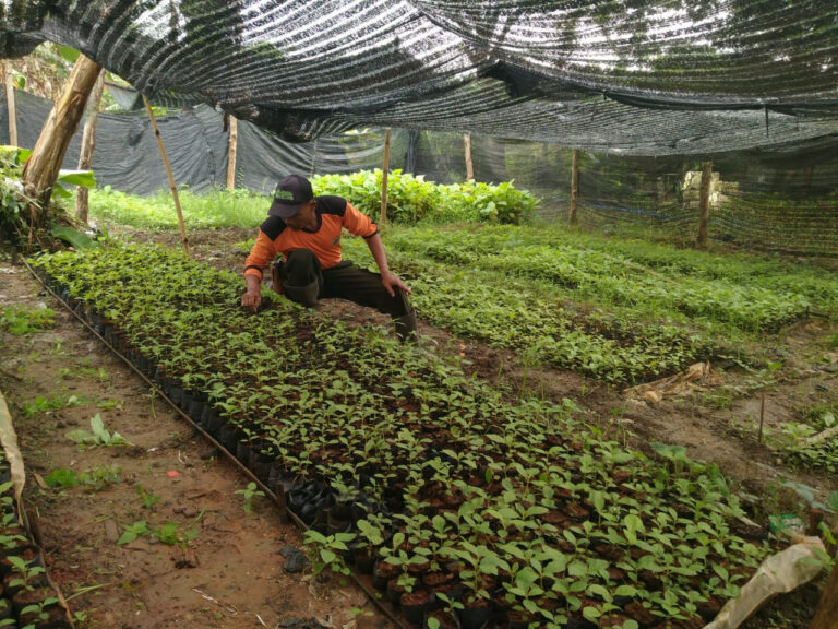 WhatsApp Image 2025-11-12 at 17.10.41(1)