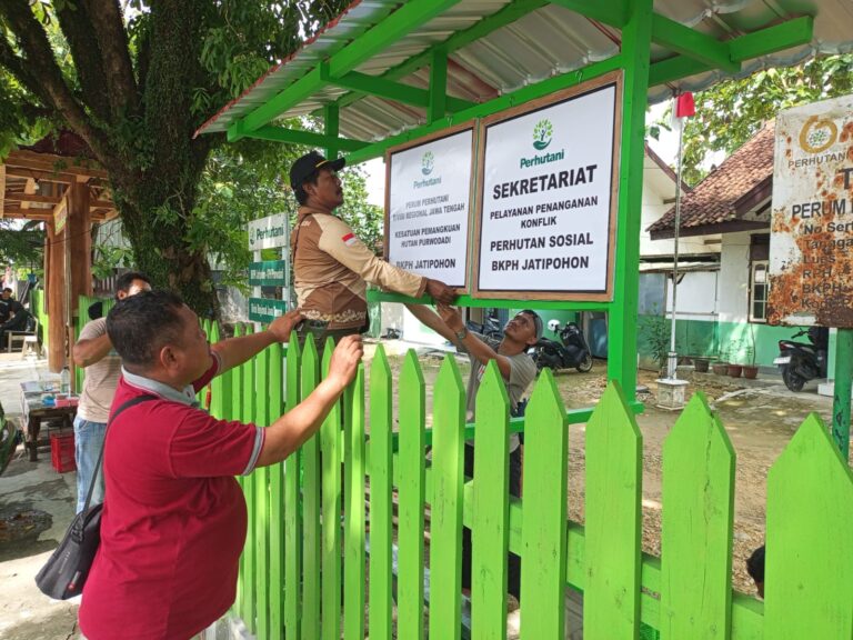 WhatsApp Image 2025-11-12 at 21.51.31