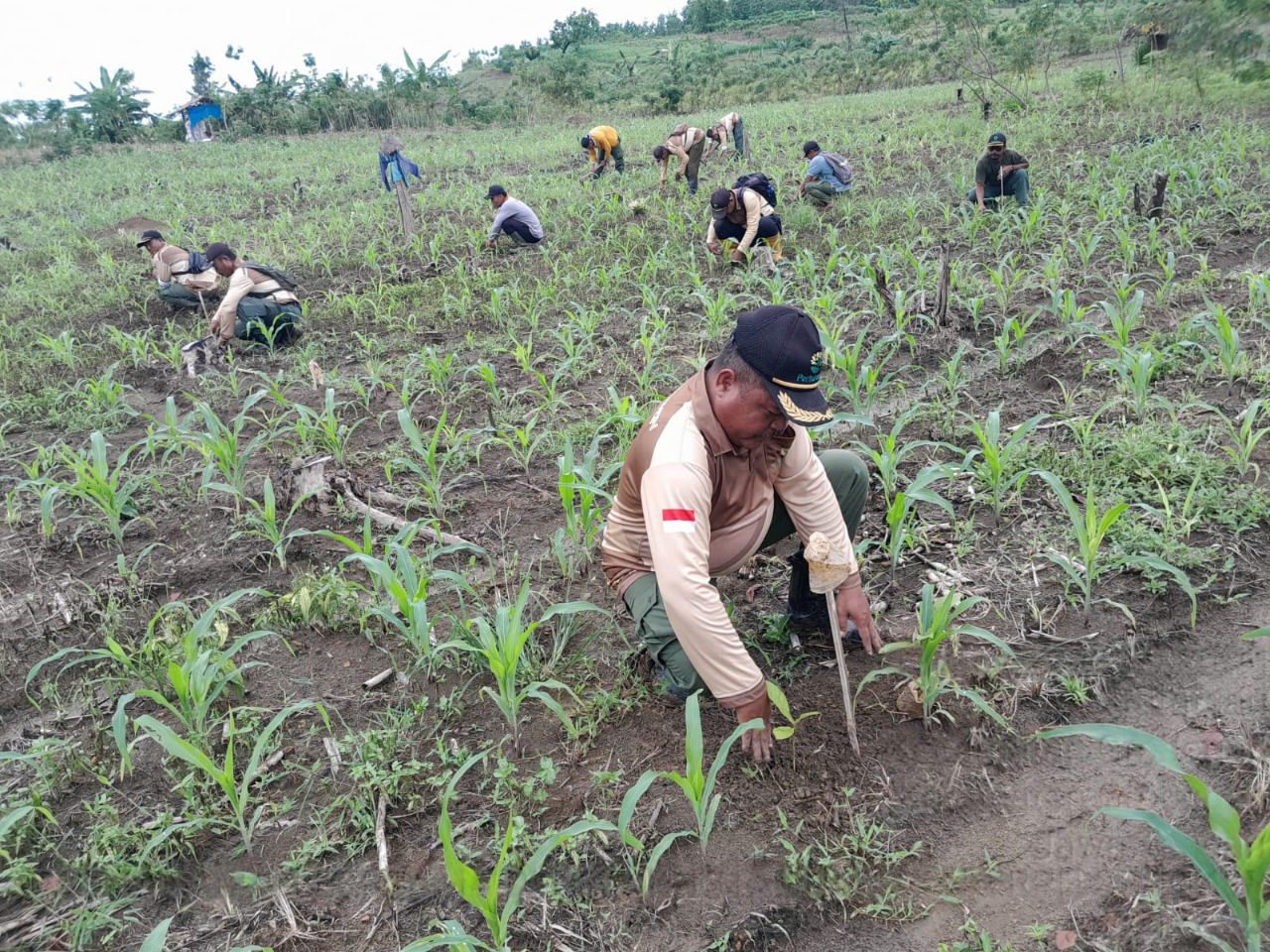 WhatsApp Image 2025-11-13 at 09.22.42_ddf914eb