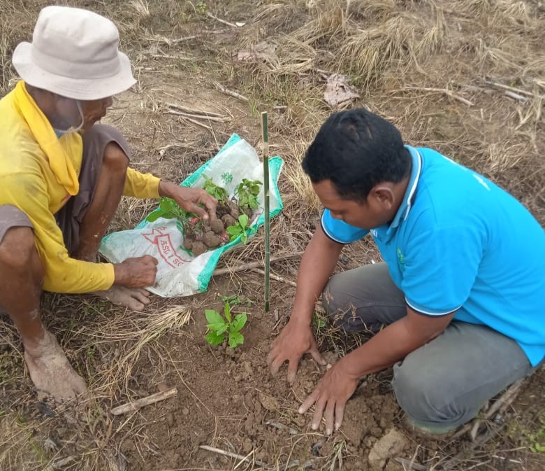 WhatsApp Image 2025-11-15 at 09.10.41