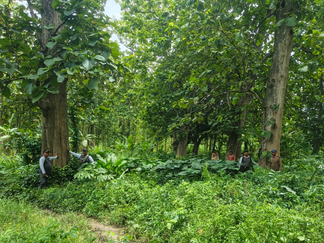 WhatsApp Image 2025-11-17 at 11.04.05