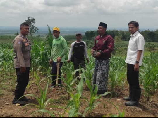 WhatsApp Image 2025-11-17 at 13.01.54