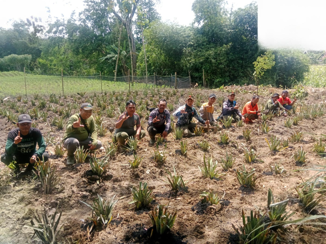 WhatsApp Image 2025-11-18 at 11.10.53(1)