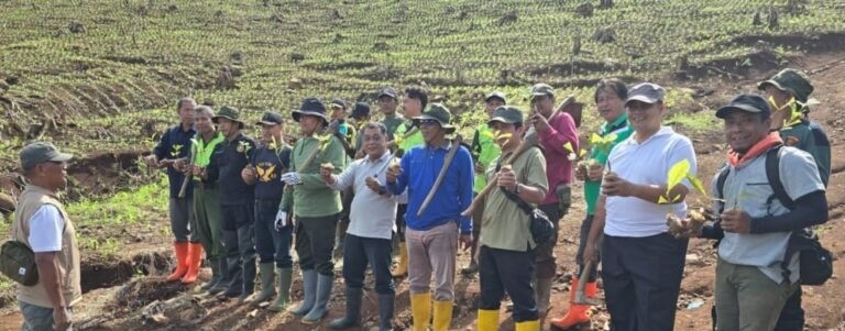 WhatsApp Image 2025-11-20 at 07.23.01