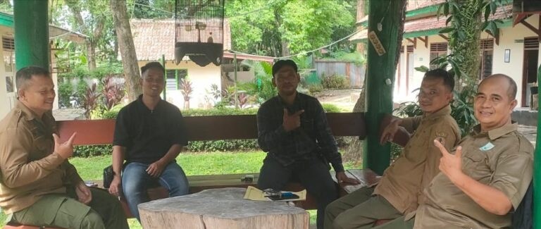 WhatsApp Image 2025-11-20 at 07.44.41