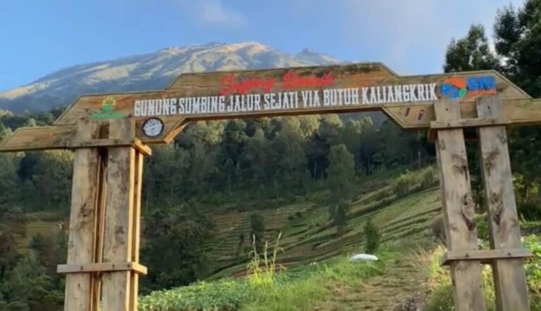 WhatsApp Image 2025-11-20 at 07.46.59