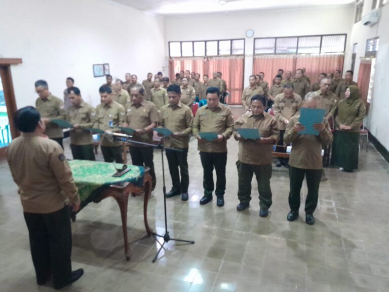 WhatsApp Image 2025-11-28 at 12.57.44