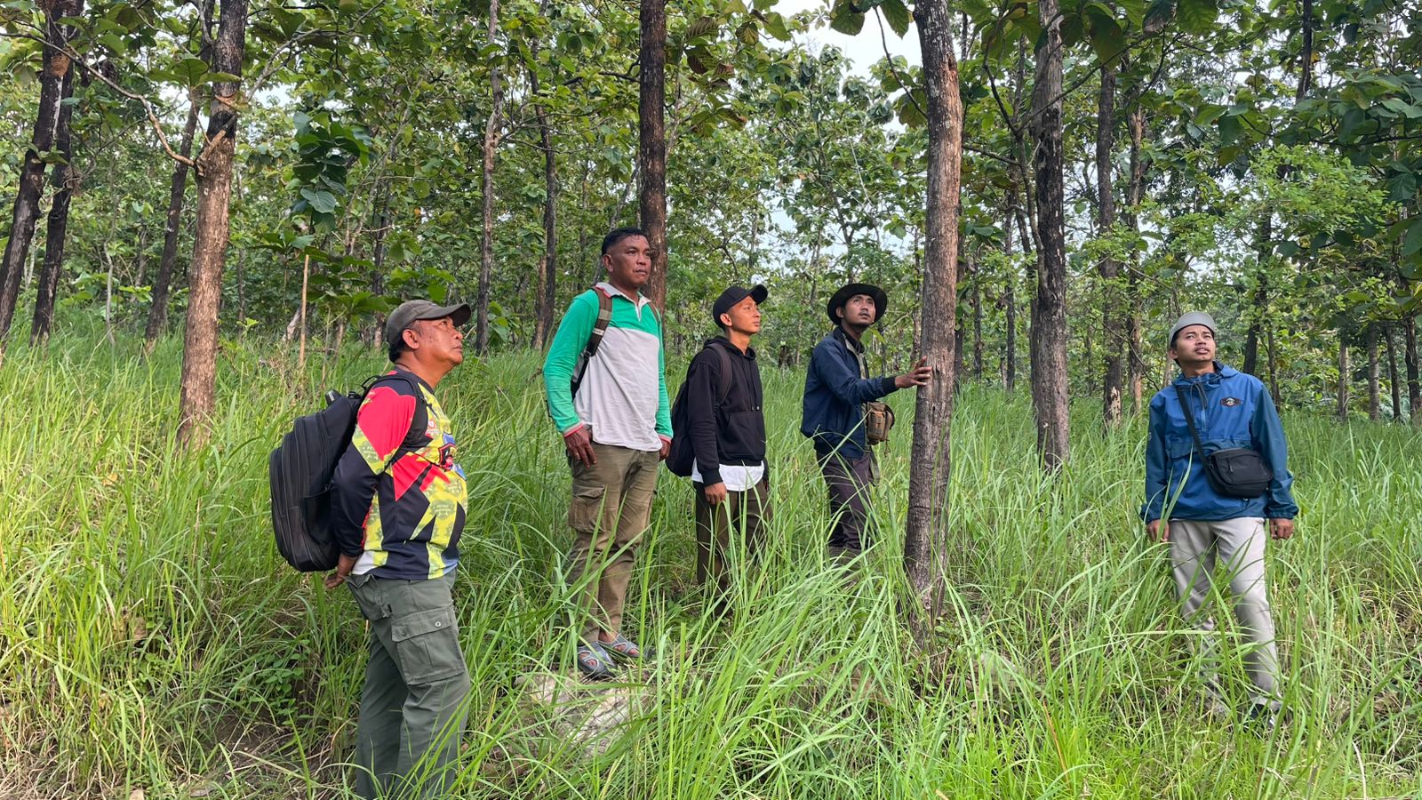 WhatsApp Image 2025-11-30 at 16.31.38