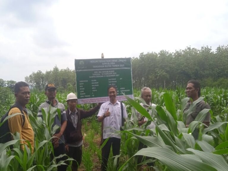 wmremove-transformed (1)