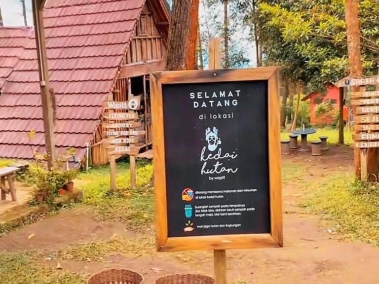 wmremove-transformed (2)