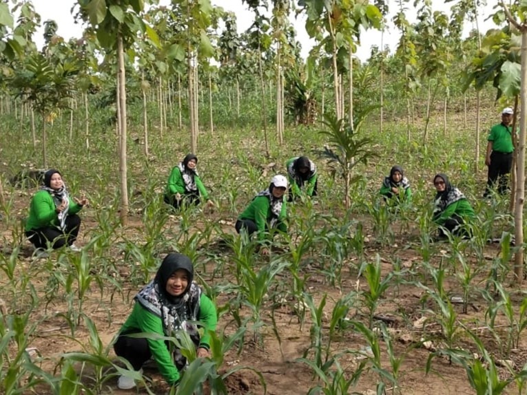 wmremove-transformed(1)