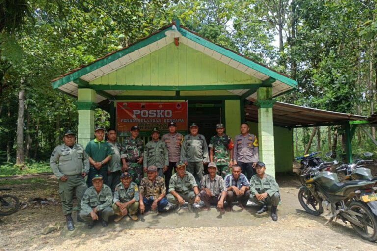 wmremove-transformed(11)