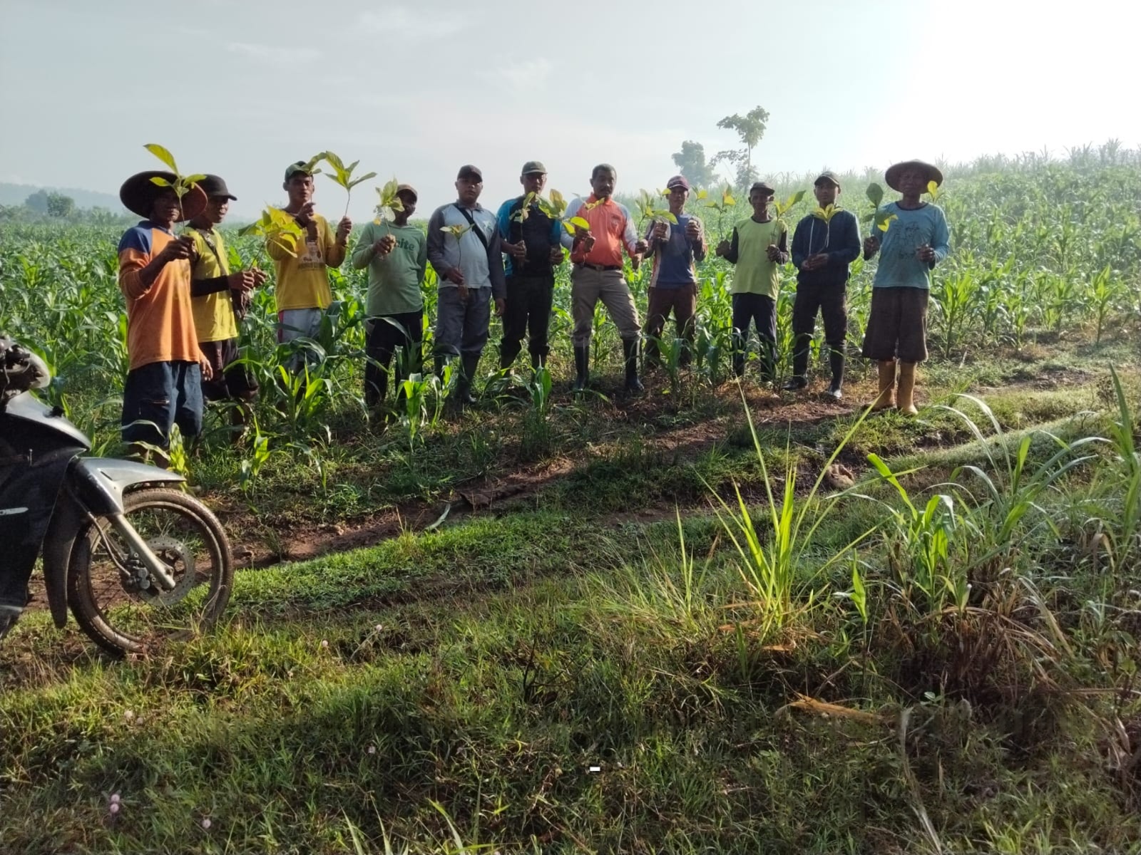 wmremove-transformed(12)