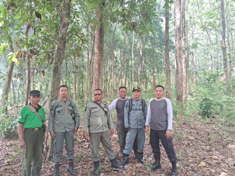 wmremove-transformed(14)