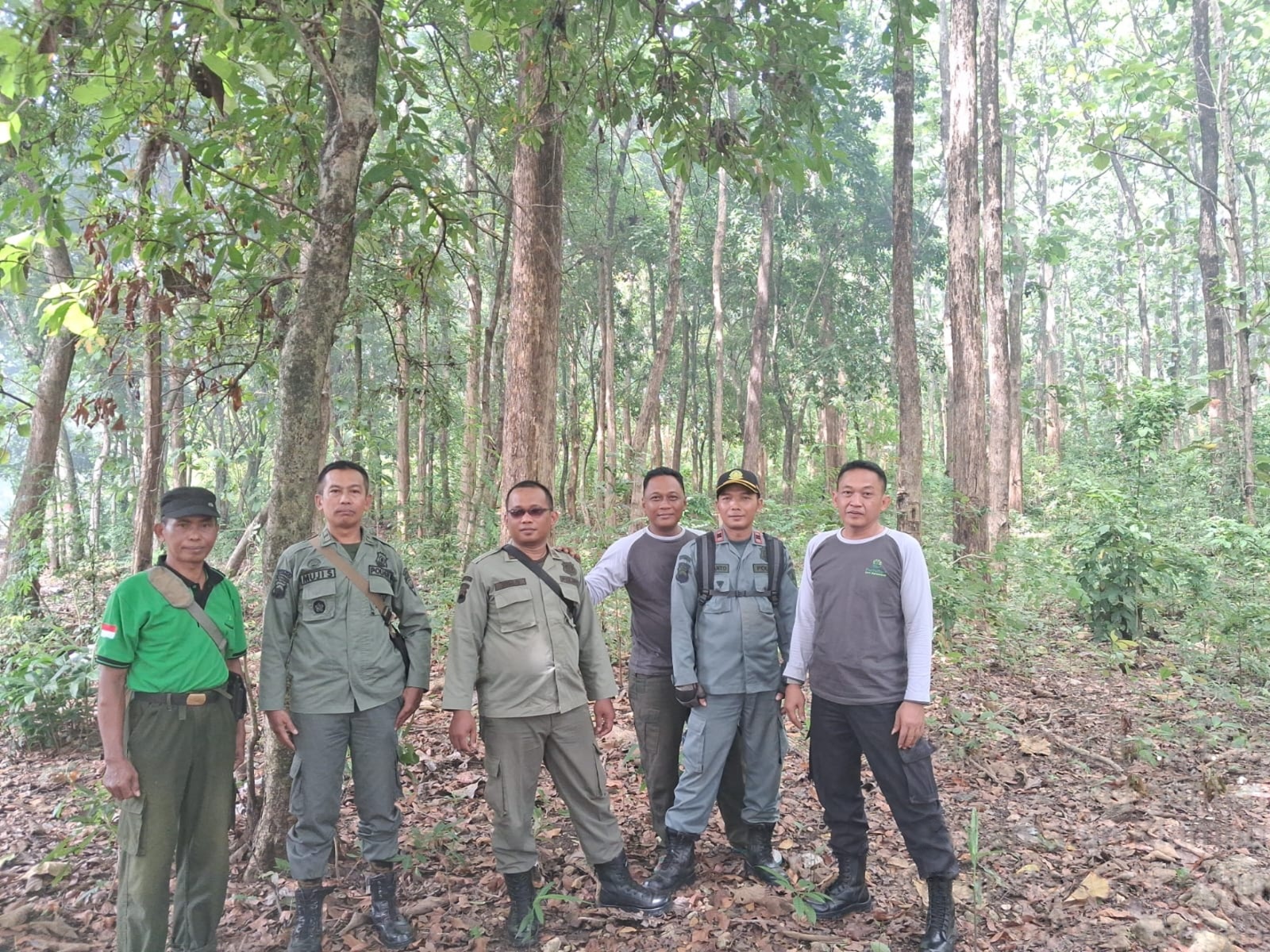 wmremove-transformed(14)