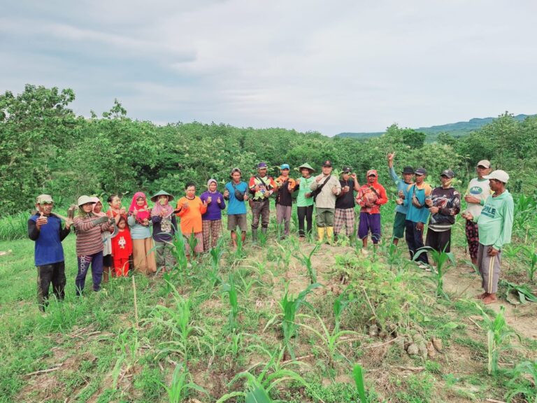 wmremove-transformed(15)