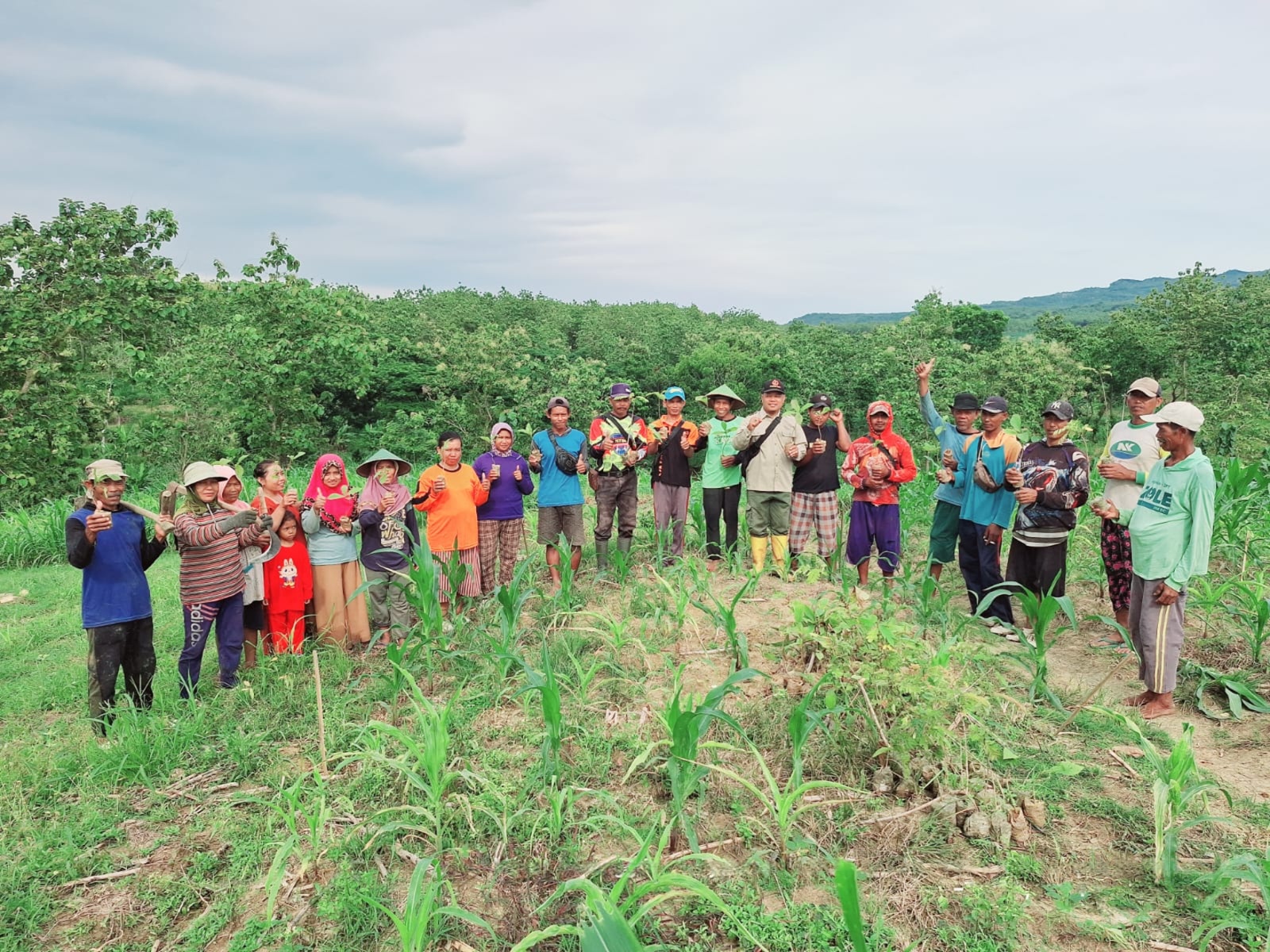 wmremove-transformed(15)