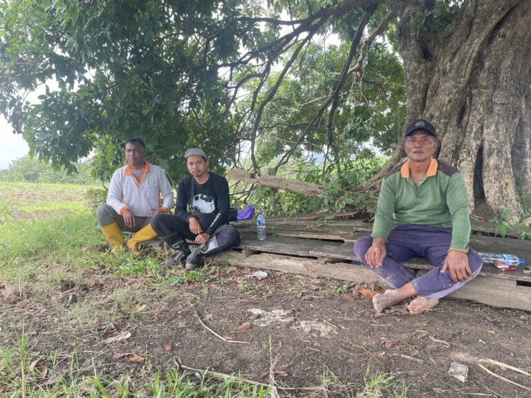 wmremove-transformed(17)