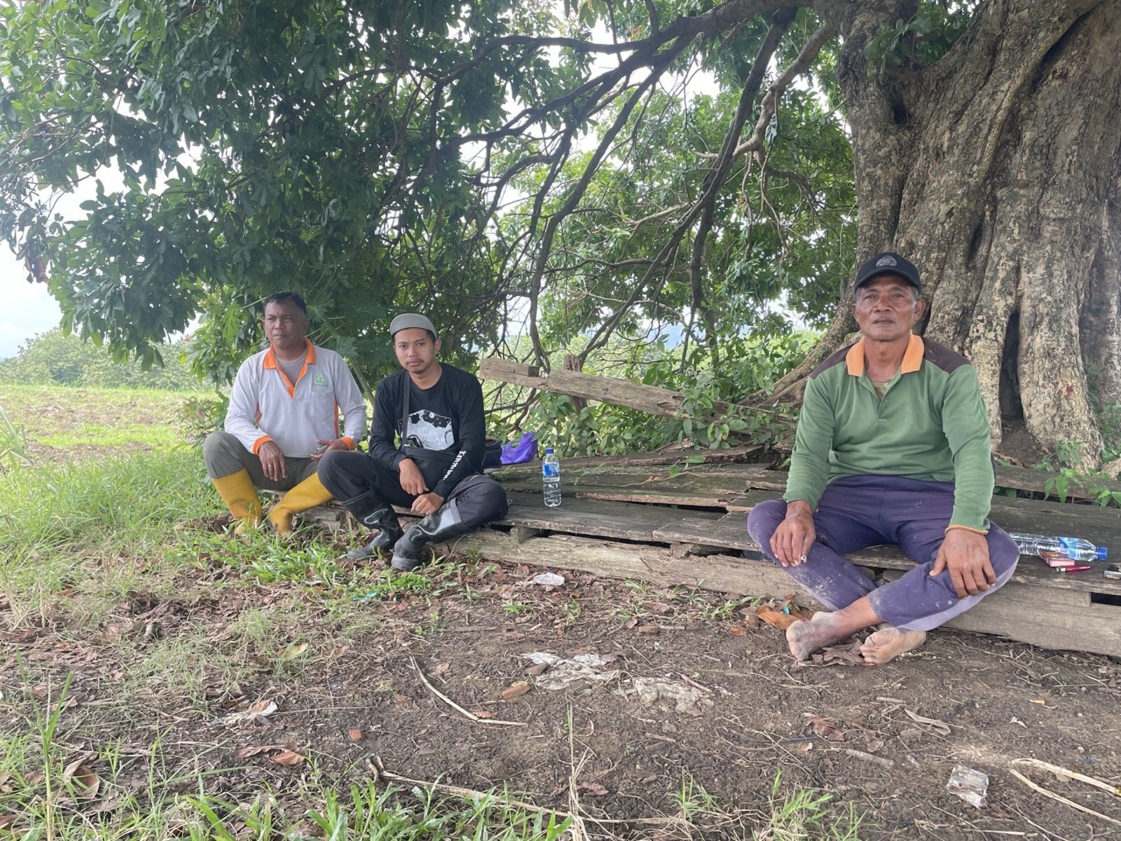 wmremove-transformed(17)