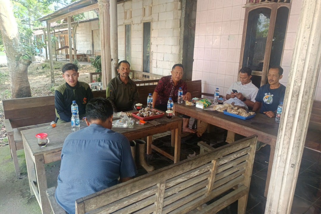 wmremove-transformed(18)