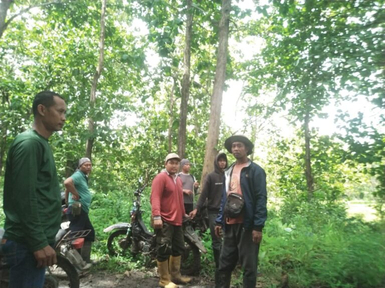 wmremove-transformed(19)