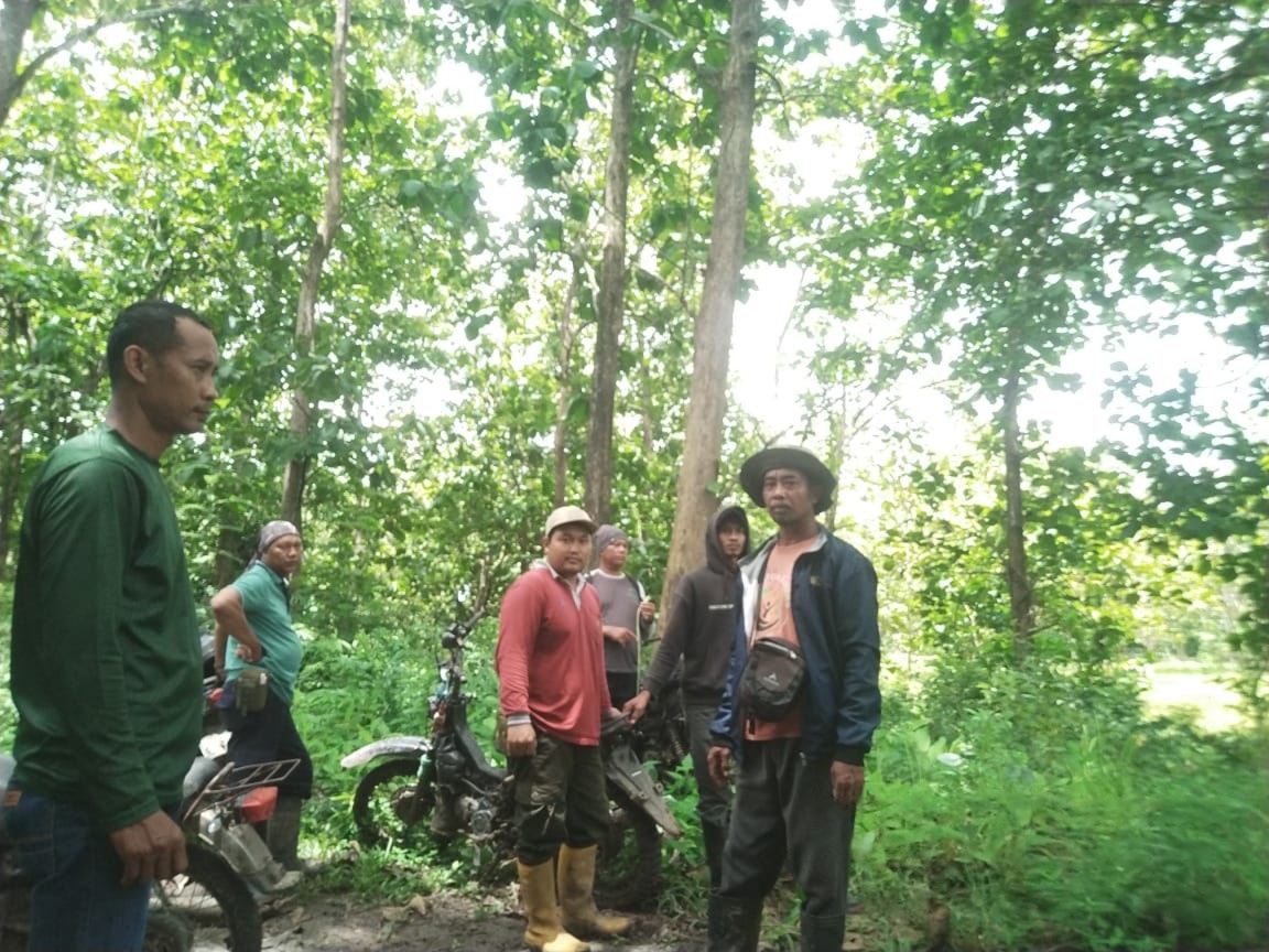 wmremove-transformed(19)