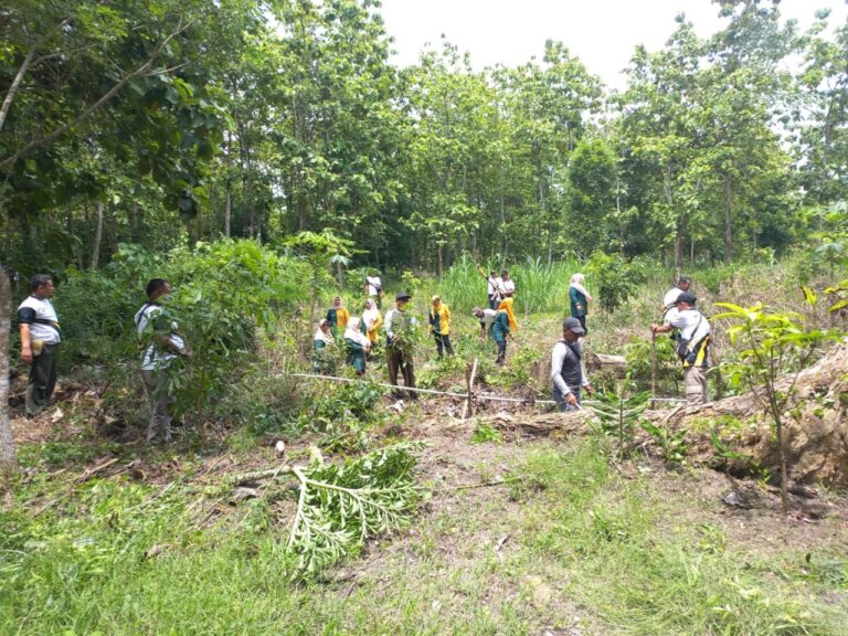 wmremove-transformed(2)