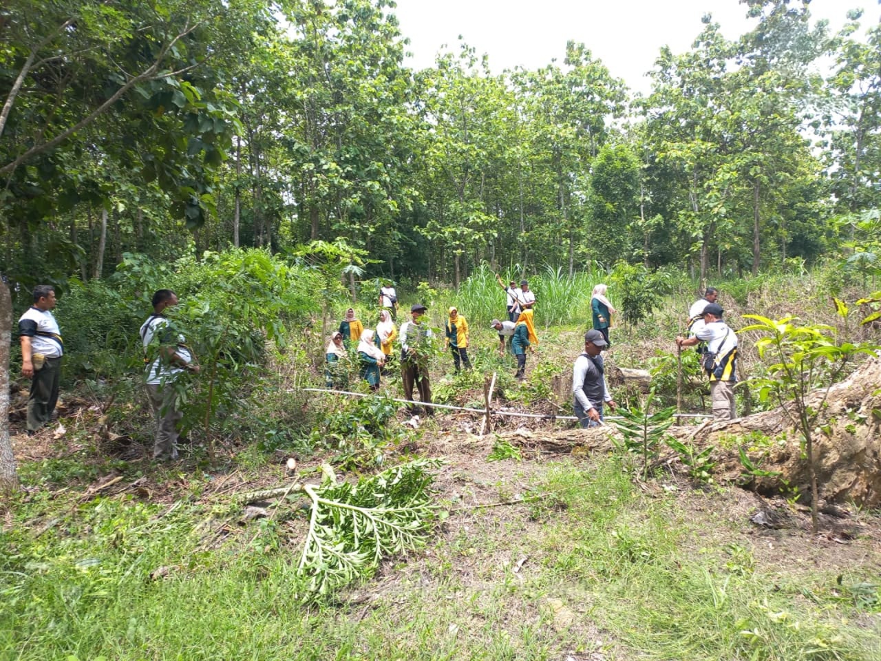 wmremove-transformed(2)