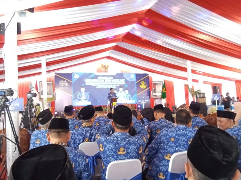 wmremove-transformed(20)