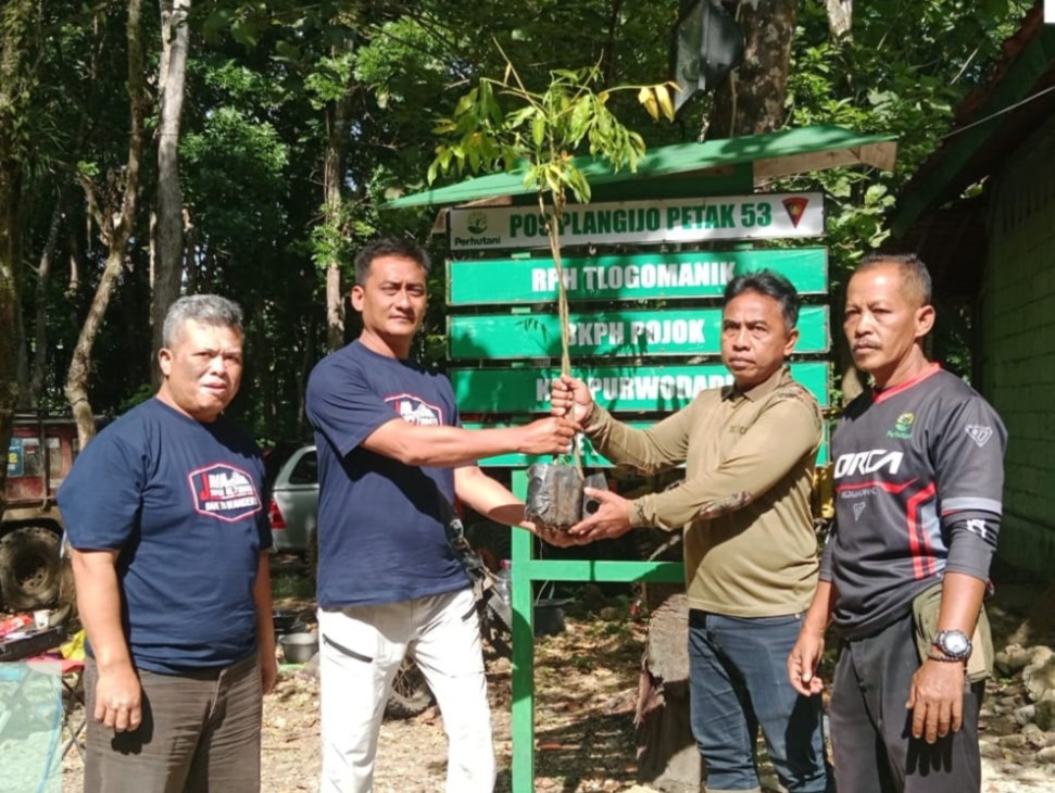 wmremove-transformed(3)