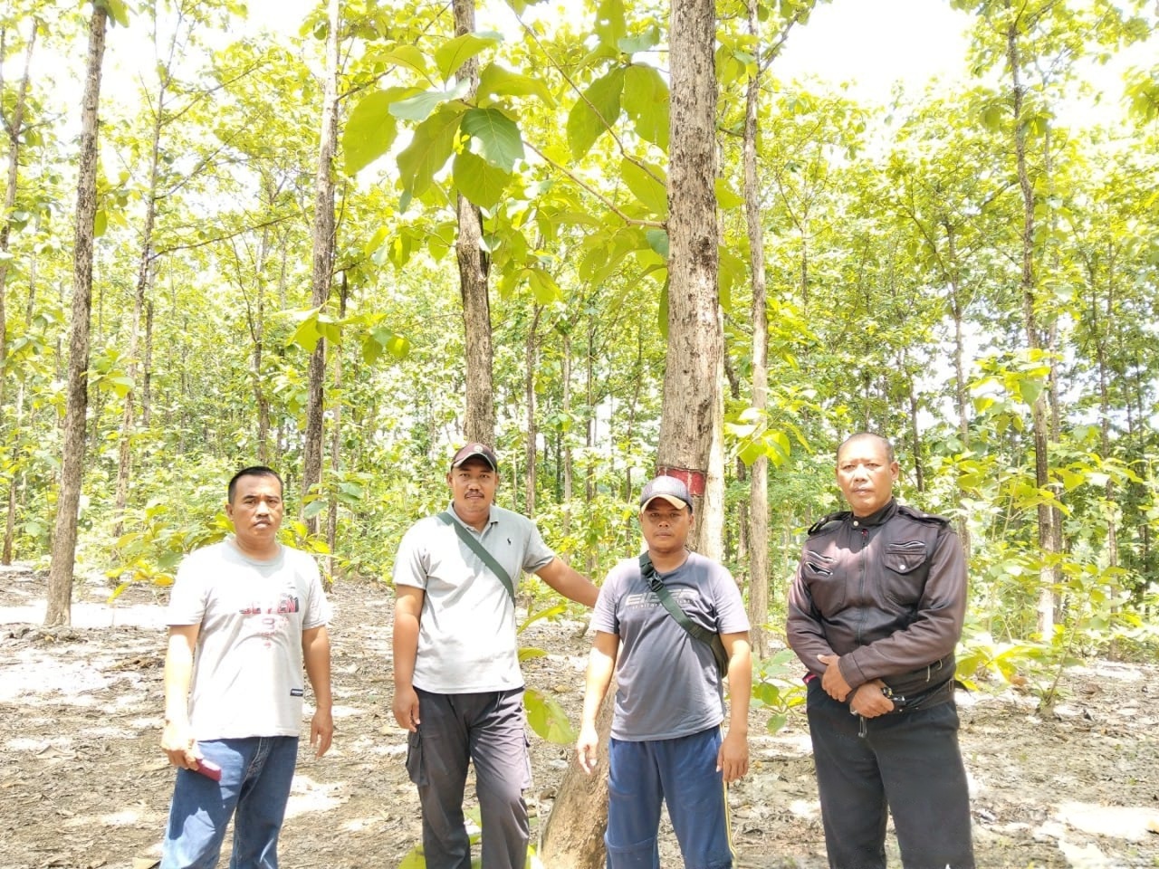 wmremove-transformed(4)