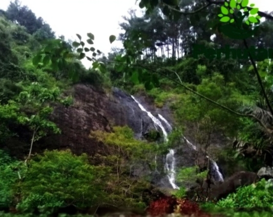 2cfa20c8-bbde-48a2-bb1d-1e93b1ae19d5