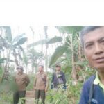 50ec4a2c-f410-439d-9dea-c9c01c4cc95d