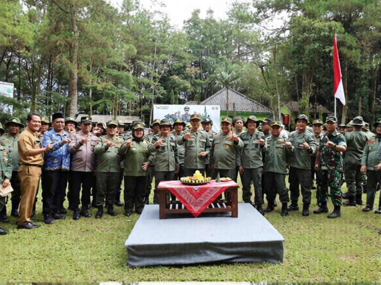 -65fdaab6-30af-43e3-8f4d-795a1bb2a6d1