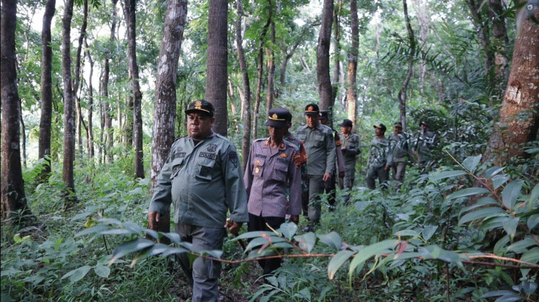 Screenshot 2025-12-25 191454