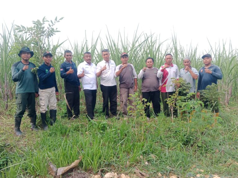 WhatsApp Image 2025-12-01 at 14.54.02