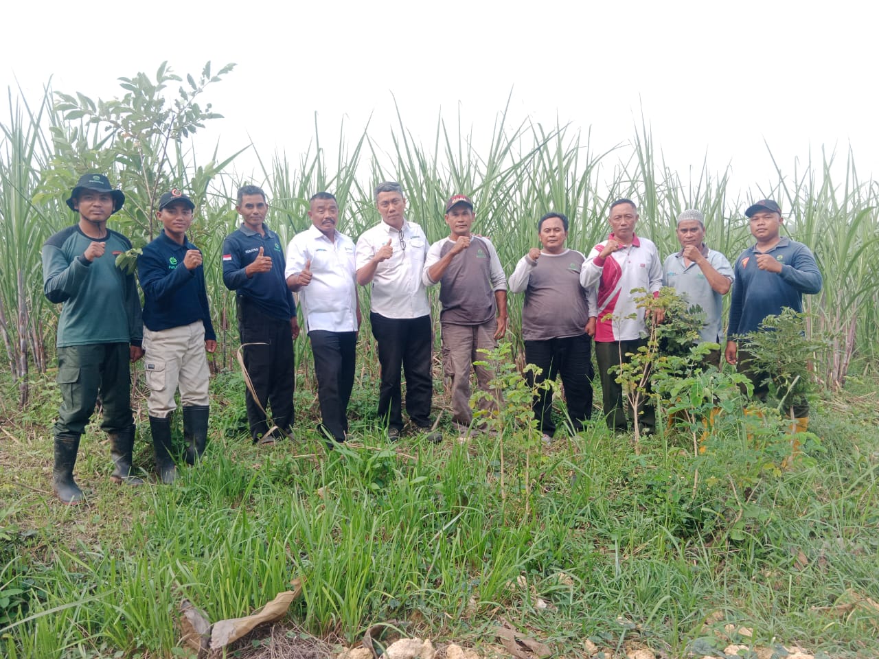 WhatsApp Image 2025-12-01 at 14.54.02