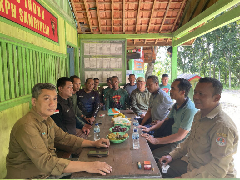 WhatsApp Image 2025-12-02 at 13.25.34(1)