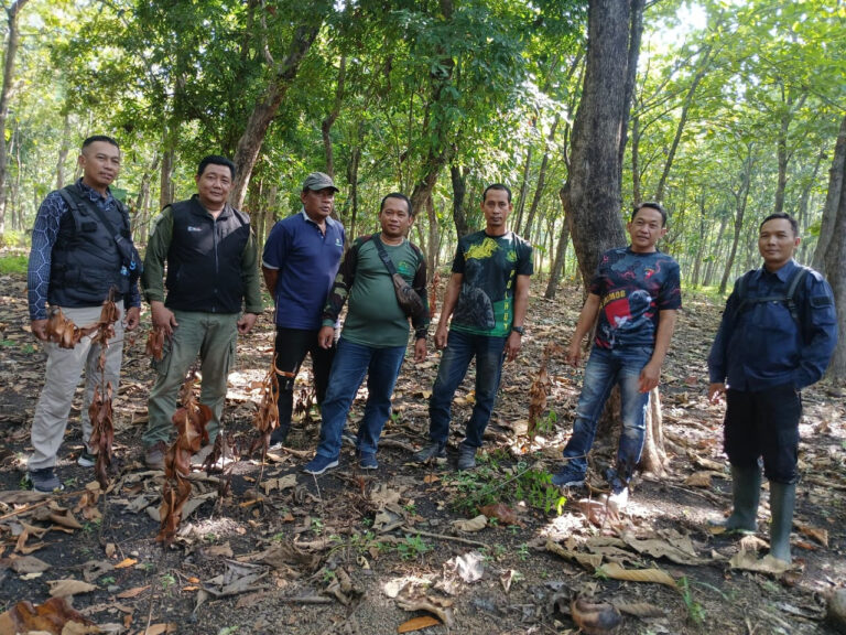 WhatsApp Image 2025-12-03 at 15.21.16(1)