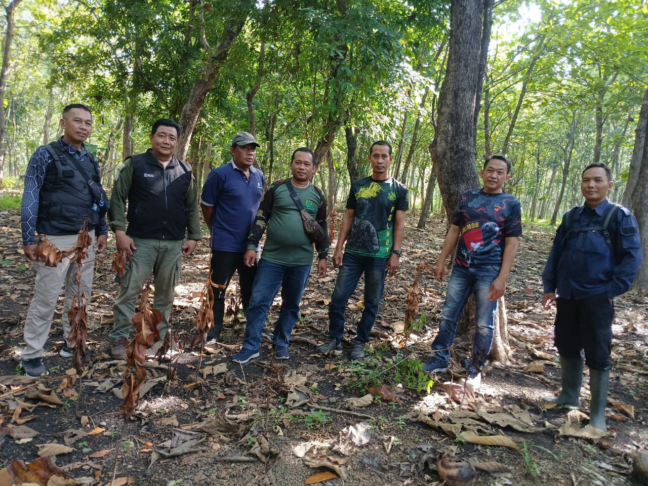 WhatsApp Image 2025-12-03 at 15.21.16(1)